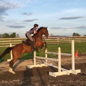 Meet your Posher, Taylor